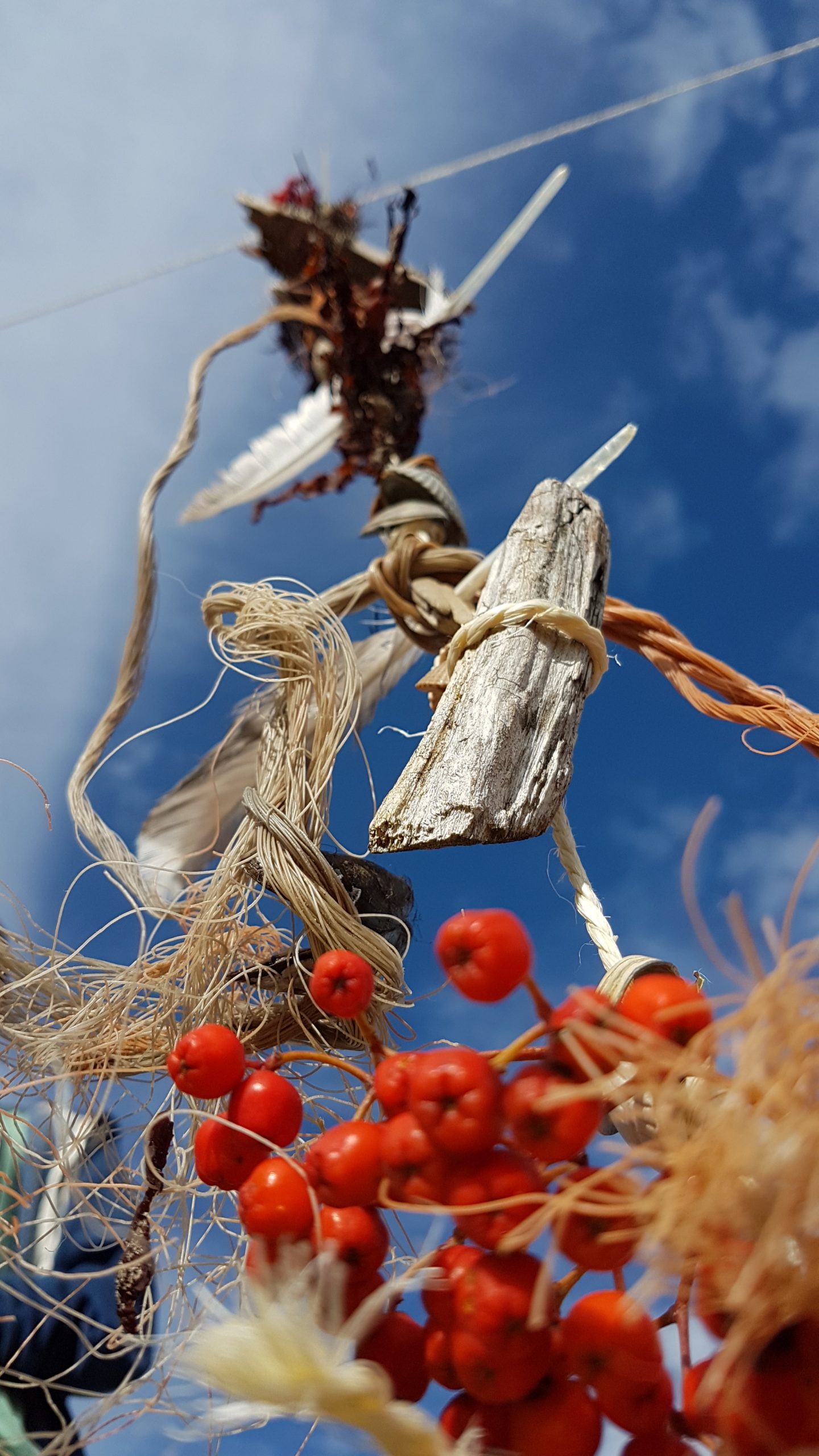 20170727_180722-scaled